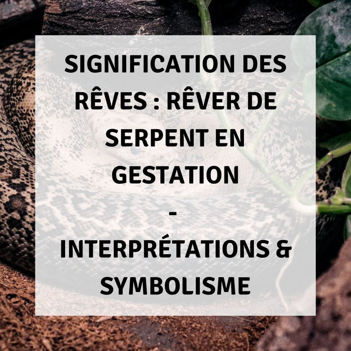 Signification des Rêves : Rêve d'un Serpent en Gestation - Interprétations & Symbolisme