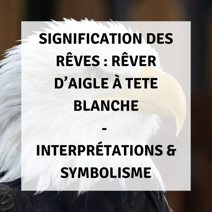 Signification des Rêves : Rêver d'un Aigle à Tête Blanche - Interprétations & Symbolisme