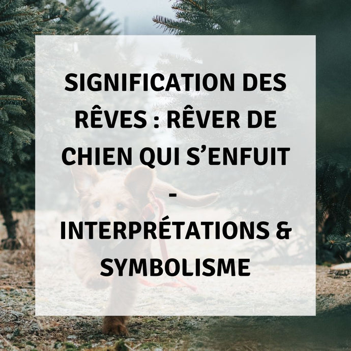 Signification des Rêves : Rêver d'un Chien Qui s'Enfuit - Interprétations & Symbolisme