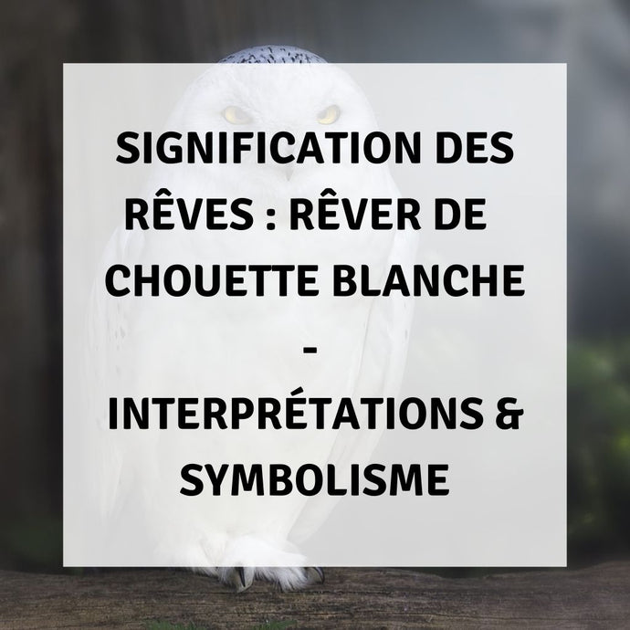 Signification des Rêves : Rêver d'une Chouette Blanche - Interprétations & Symbolisme