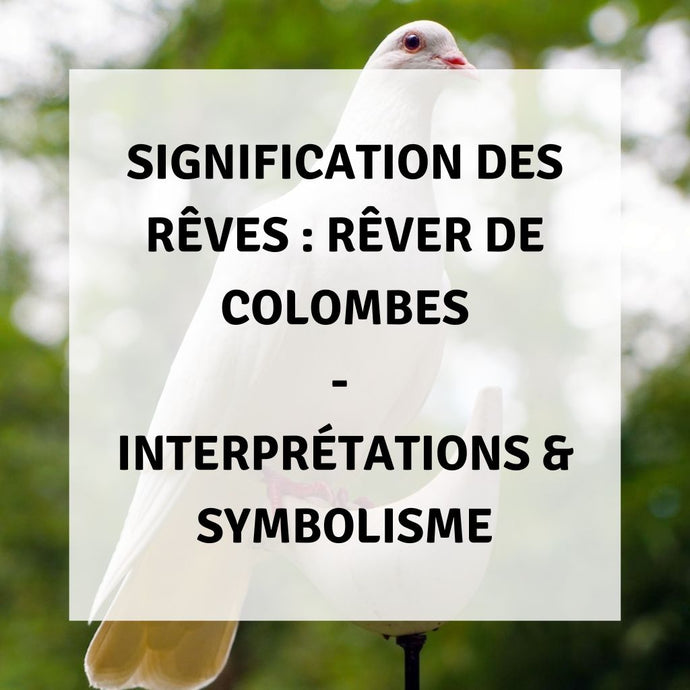 Signification des Rêves : Rêver de Colombes - Interprétations & Symbolisme
