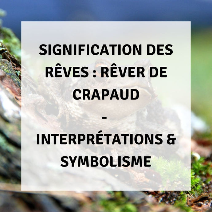 Signification des Rêves : Rêver de Crapaud - Interprétations & Symbolisme
