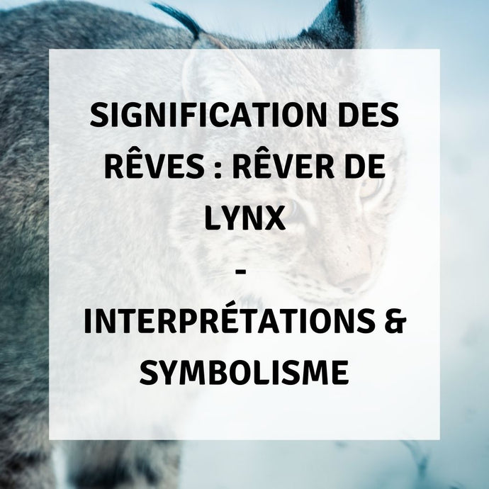 Signification des Rêves : Rêver de Lynx - Interprétations & Symbolisme