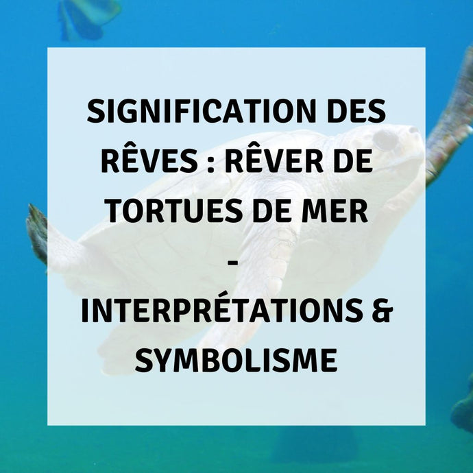 Signification des Rêves : Rêver de Tortues de Mer : Interprétations & Symbolisme
