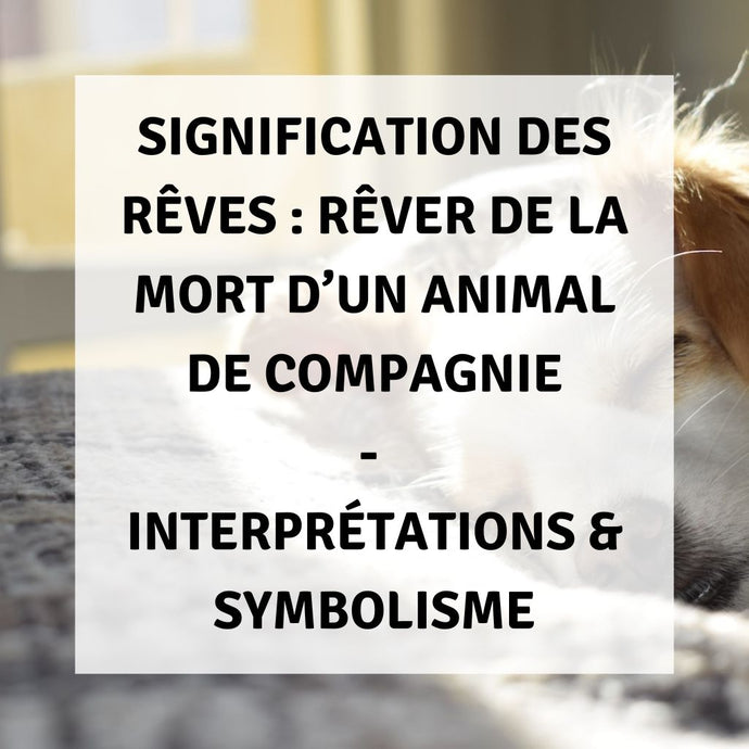 Signification des Rêves : Rêver de la Mort d'un Animal de Compagnie - Interprétations & Symbolisme
