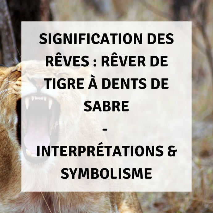 Signification des Rêves : Rêver du Tigre à Dents de Sabre - Interprétations & Symbolisme