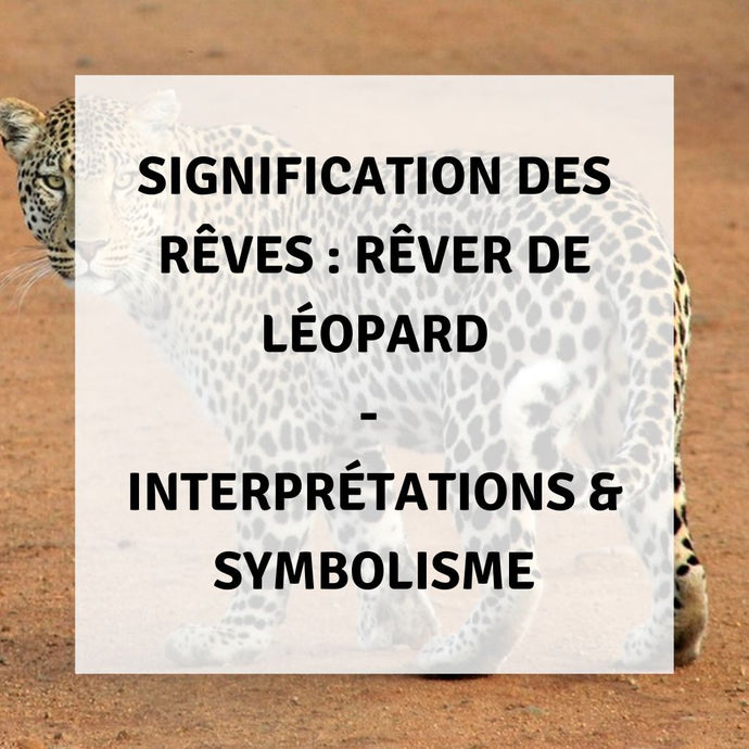 Signification des Rêves : Signification Spirituelle d'un Léopard dans les Rêves - Interprétations & Symbolisme