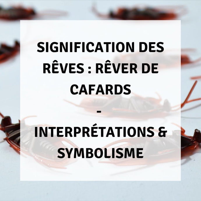 Signification des Rêves : Signification Spirituelle de Rêver de Cafards - Interprétations & Symbolisme