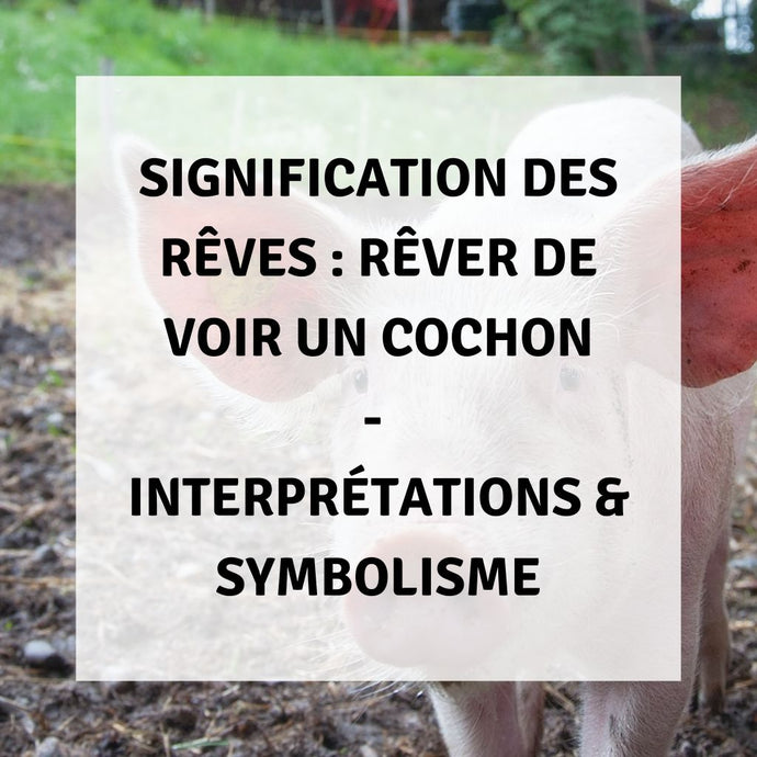 Signification des Rêves : Signification Spirituelle de Voir un Cochon dans le Rêve - Interprétations & Symbolisme