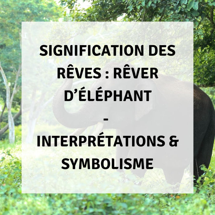 Signification des Rêves : Signification Spirituelle des Éléphants dans les Rêves - Interprétations & Symbolisme